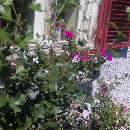 Am Herzogberg Homestay