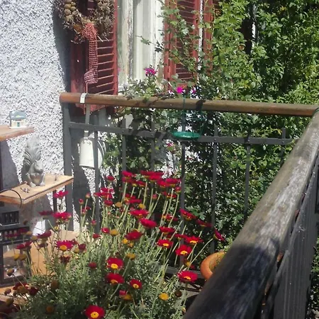 Homestay Am Herzogberg