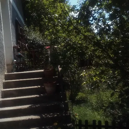 Am Herzogberg Homestay